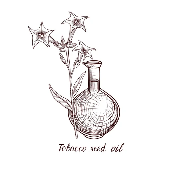 Vector drawing tobacco seed oil — ストックベクタ