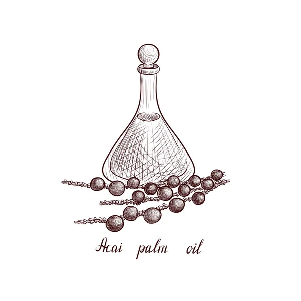 Vektorová kresba acai palmový olej — Stockový vektor