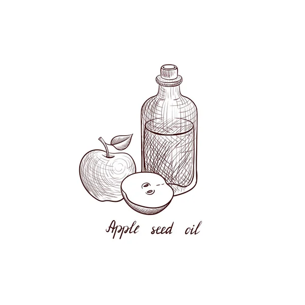 Vektor kreslení jablečný olej — Stockový vektor