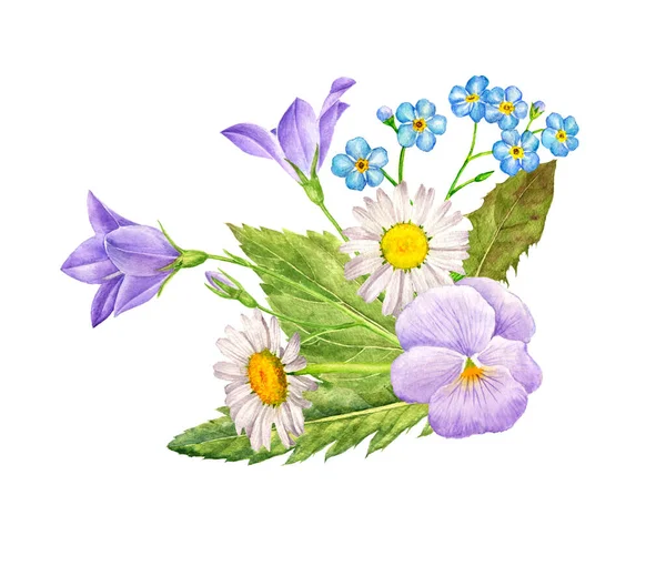 Acuarela dibujo flores silvestres — Foto de Stock