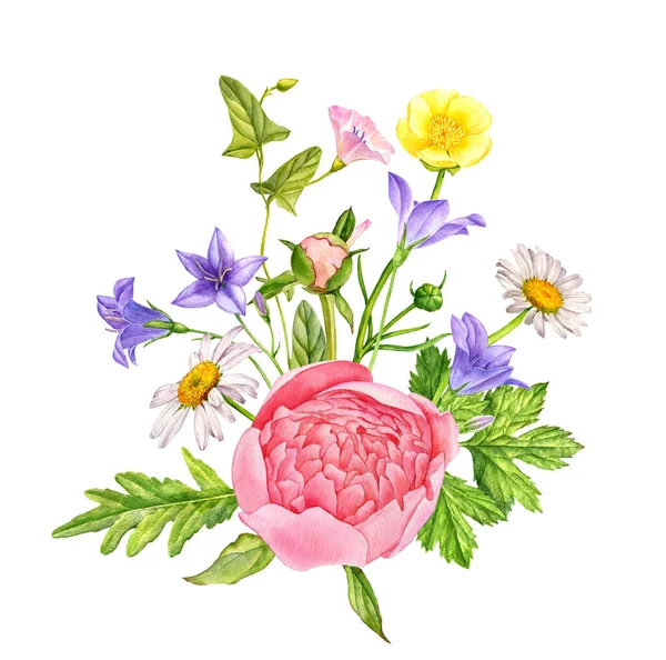 Aquarelle dessin fleurs sauvages — Photo