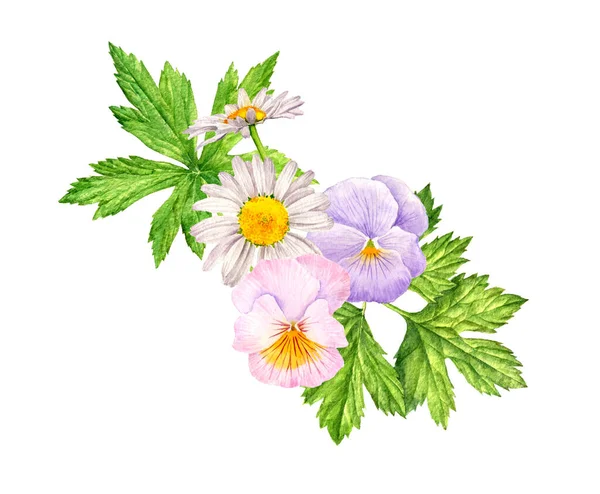 Watercolor drawing wild flowers — Stock Photo, Image