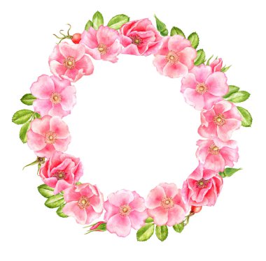 suluboya yabani güllerin çelenklerini çiziyor