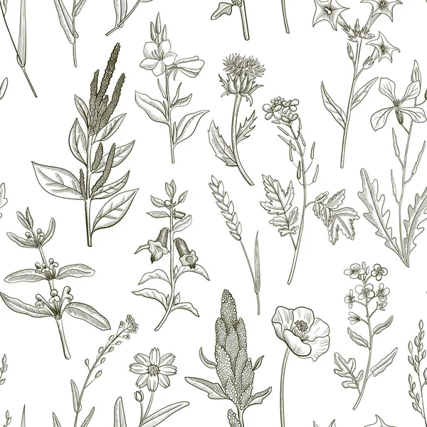 Patrón sin costuras con el dibujo de hierbas y flores — Vector de stock