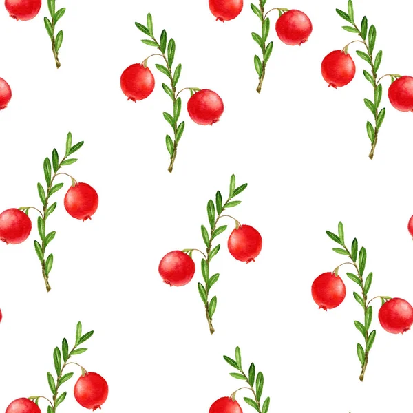 Aquarel naadloos patroon met bessen van cranberry — Stockfoto