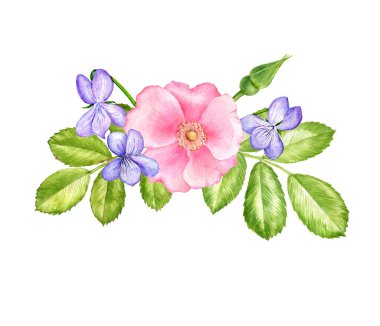 suluboya yabani çiçekler çiziyor