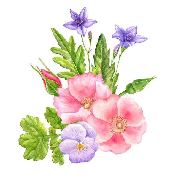 Aquarelle dessin fleurs sauvages — Photo