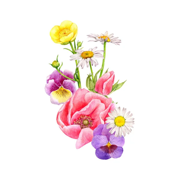 Acquerello disegno fiori selvatici — Foto Stock