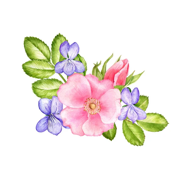 Watercolor drawing wild flowers — Stock Photo, Image