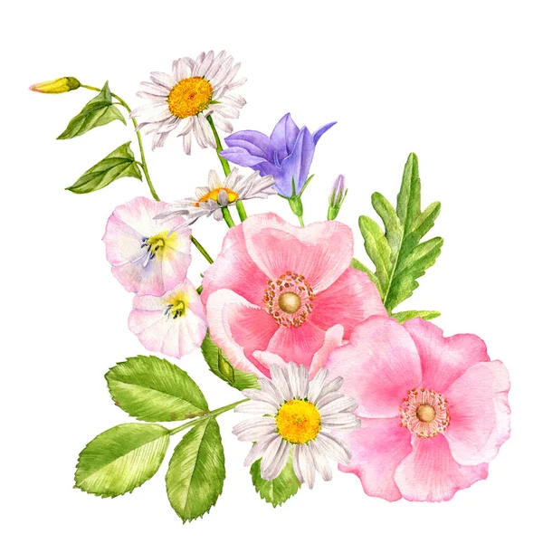 Aquarela desenho flores selvagens — Fotografia de Stock