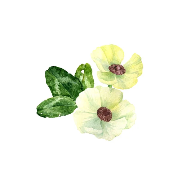 Aquarell-Zeichnung Blumen — Stockfoto