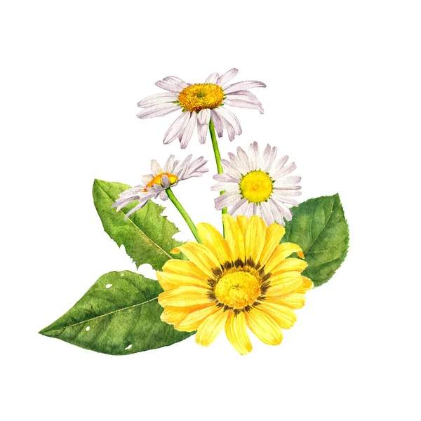 Aquarell-Zeichnung Blumen — Stockfoto