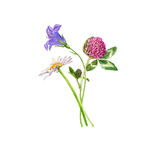 Akvarell teckning blommor — Stockfoto