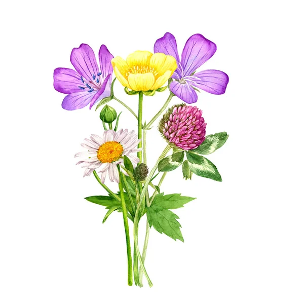 Acquerello disegno fiori — Foto Stock