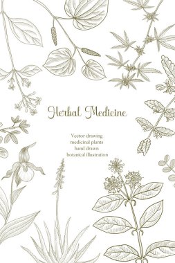 Çiçek klasik şablonu çizen vektör