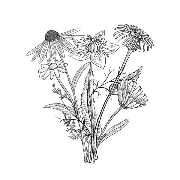 Σχέδιο διάνυσμα floral — Διανυσματικό Αρχείο