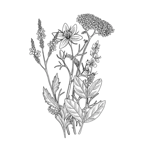 Dibujo vectorial plantilla vintage floral — Archivo Imágenes Vectoriales