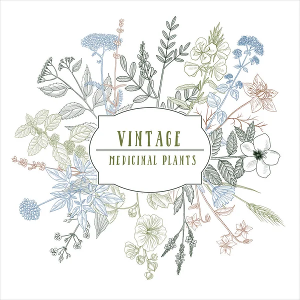 Dibujo vectorial plantilla vintage floral — Vector de stock