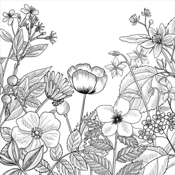 Wektor rysunek kwiatowy vintage szablon — Wektor stockowy