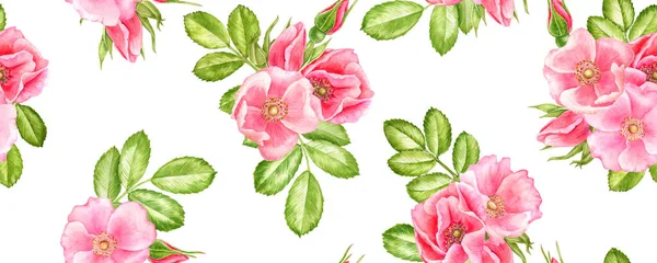 Akvarel bezešvný vzor s kresbou květin divokých růží — Stock fotografie