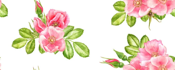 Acquerello modello senza soluzione di continuità con il disegno di fiori di rose selvatiche — Foto Stock