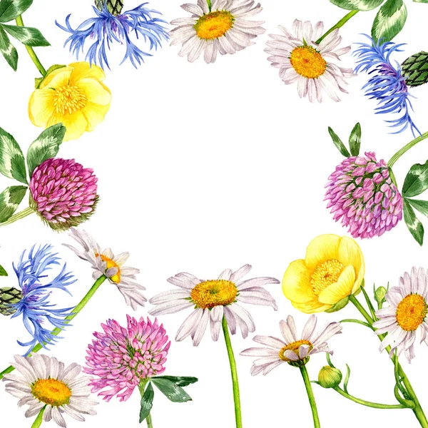 Acquerello disegno fiori — Foto Stock