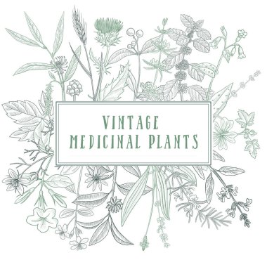 Çiçek klasik şablonu çizen vektör