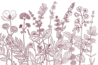 Çiçek klasik şablonu çizen vektör