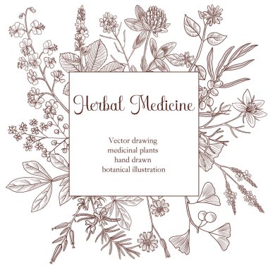 Çiçek klasik şablonu çizen vektör