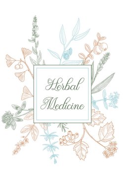 Çiçek klasik şablonu çizen vektör