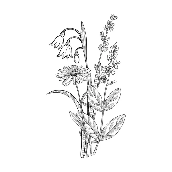 Vektorová kresba květinové vinobraní šablony — Stockový vektor