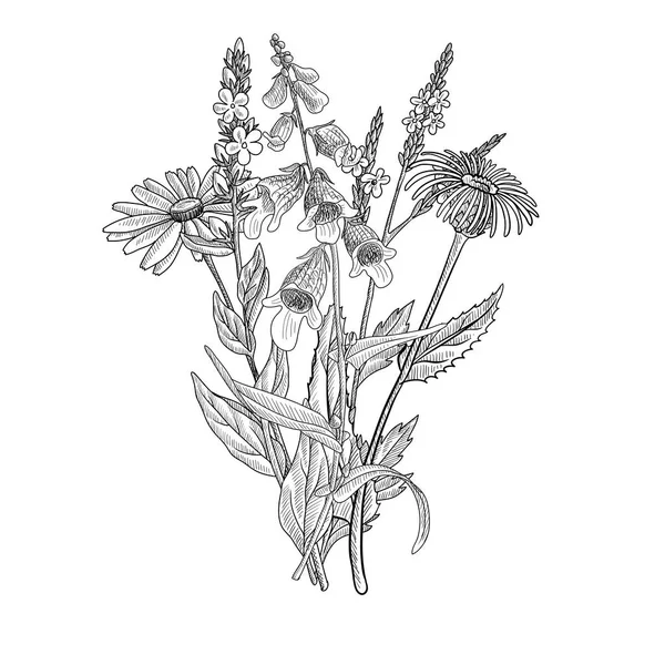 Dibujo vectorial plantilla vintage floral — Archivo Imágenes Vectoriales
