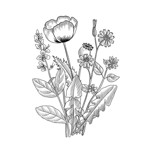 Wektor rysunek kwiatowy vintage szablon — Wektor stockowy