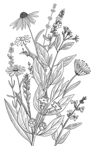 Dibujo vectorial plantilla vintage floral — Archivo Imágenes Vectoriales