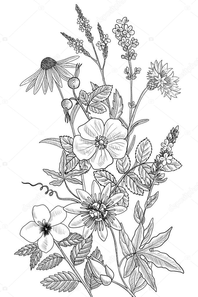vector drawing floral vintage template
