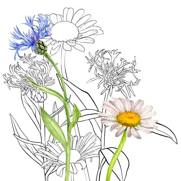 Aquarel tekening wilde bloemen — Stockfoto
