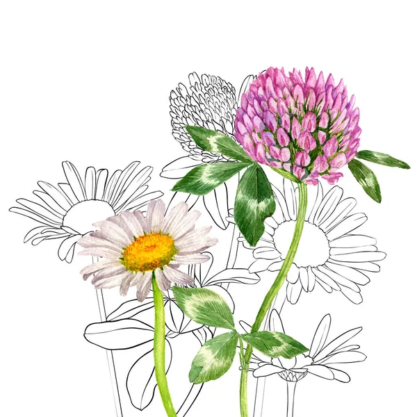 Aquarel tekening wilde bloemen — Stockfoto