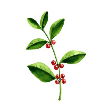 suluboya çizim yerba mat