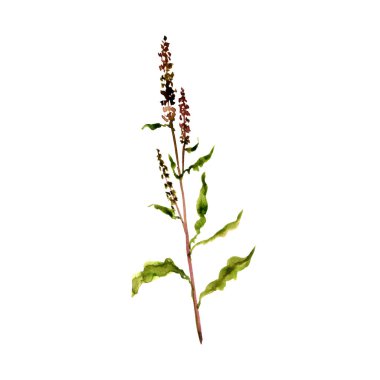 suluboya sarı iskele