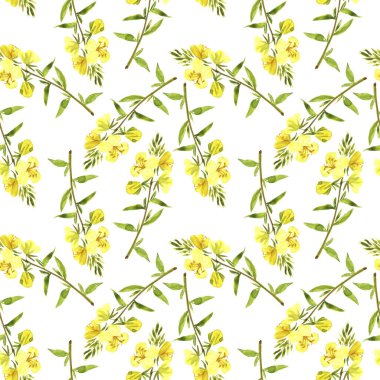 seamless pattern with watercolor drawing evening primrose clipart