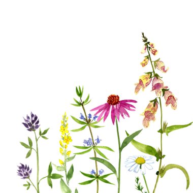 suluboya çiçekler çiziyor