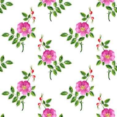 Suluboya çizimi ile kusursuz desen tarçın gülü