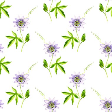 Sulu boya ile kusursuz desen passiflora çizimi