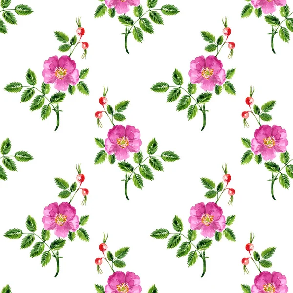 Seamless pattern with watercolor drawing cinnamon rose — Stock Photo, Image