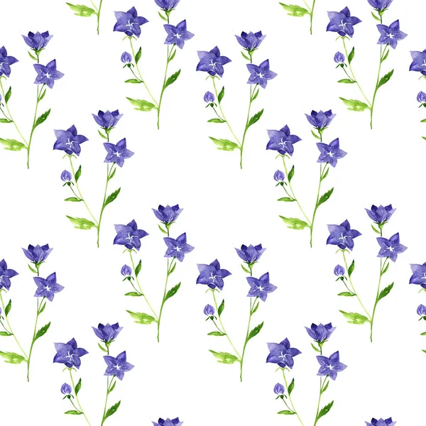 Seamless pattern with watercolor drawing balloon flower — Stock Photo, Image