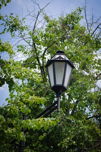 Strong and smooth lines of a street lamp against the sky and green foliage of trees. Grace Focus on Object