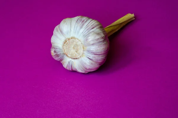 Ampoule Ail Frais Sur Fond Violet Une Bulbe Unique Légume — Photo