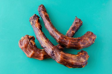 Turkuaz arka planda üç kurutulmuş hindi boynu. Evcil hayvanlar için diş tedavisi. Terfi ve şımartma için doğal tedavi. Hayvan malzemeleri..