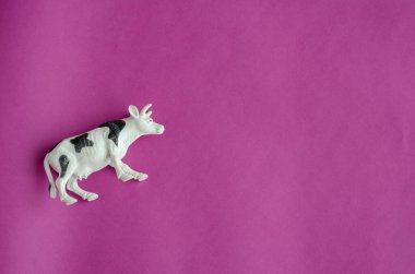 Mor arka planda siyah benekli beyaz inek figürü. Çiftlik ürünleri, çiftlik hayvanları konsepti. Uzayı kopyala Bir açıdan üstten bak. Seçici odak.