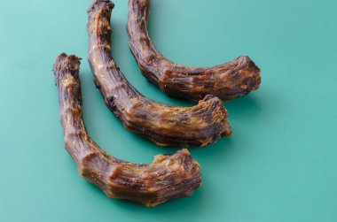 Turkuaz arka planda üç kurutulmuş hindi boynu. Evcil köpekler için sakız çiğniyorum. Terfi ve şımartma için doğal tedavi. Hayvan malzemeleri..